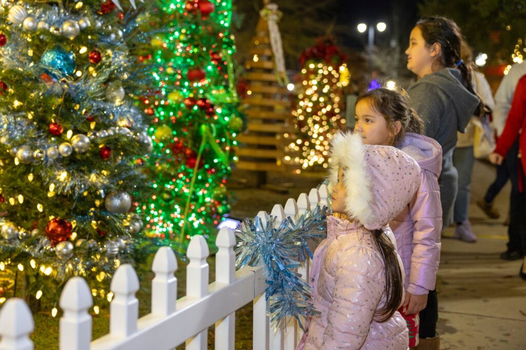 Alabama light show nominated for USA Today’s 10Best—how you can vote to make it No. 1