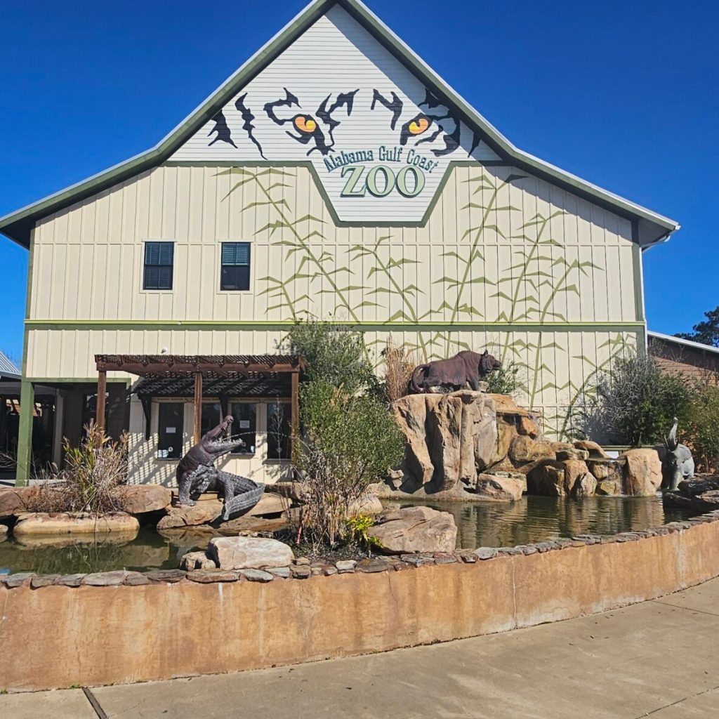 Alabama Gulf Coast Zoo welcomes two rare endangered species Alabama Gulf Coast Zoo welcomes two rare endangered species