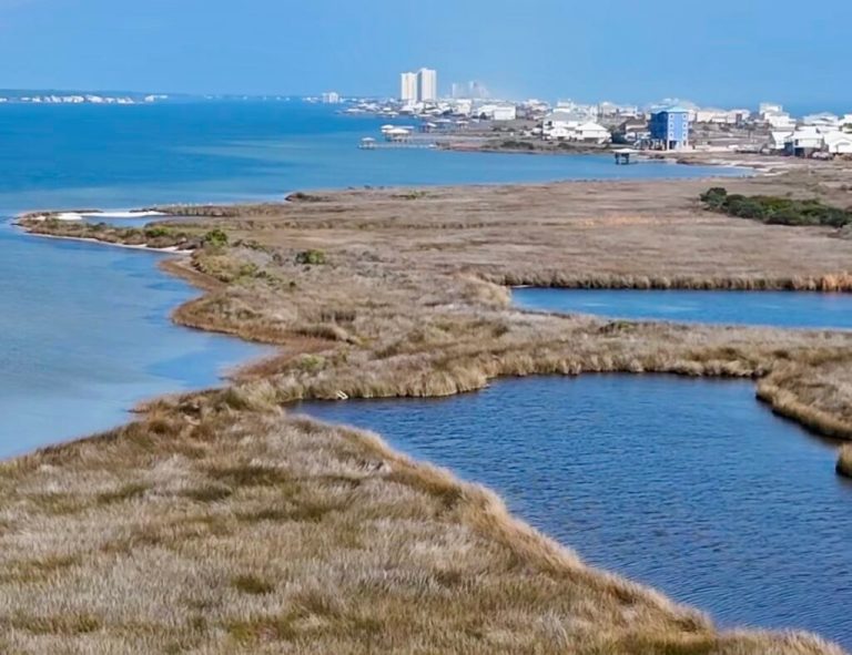 New Laguna Cove Nature Park project moving forward with .6M bid New Laguna Cove Nature Park project moving forward with .6M bid