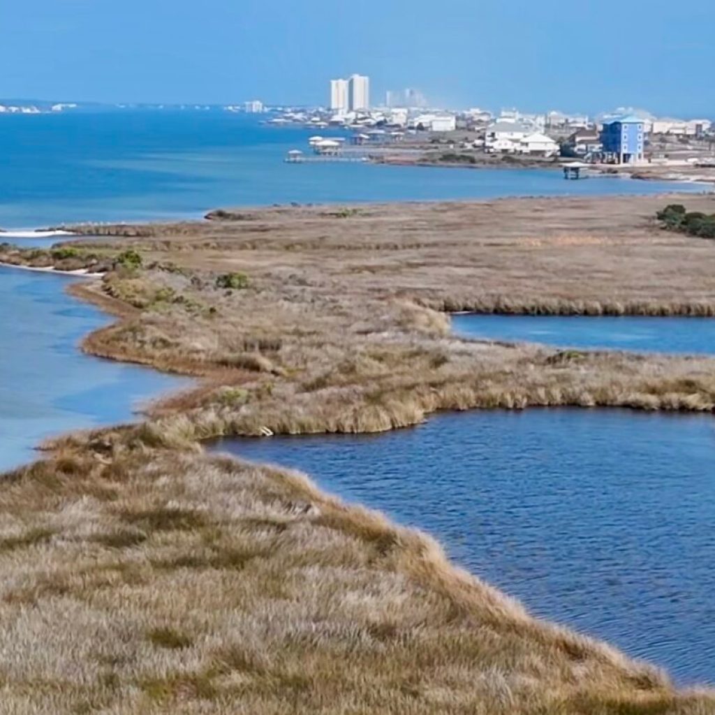 New Laguna Cove Nature Park project moving forward with .6M bid New Laguna Cove Nature Park project moving forward with .6M bid