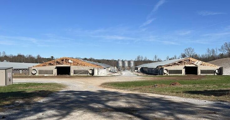 National Weather Service confirms small tornado in Cleburne County