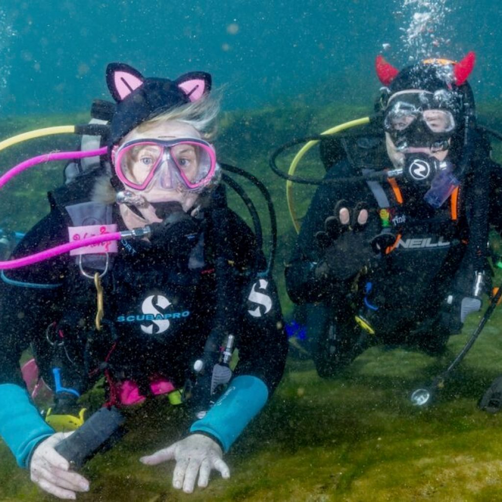 2 shipping containers, 2 acres + a lot of love create a cool Little River Canyon retreat for these Alabama adventurers 2 shipping containers, 2 acres + a lot of love create a cool Little River Canyon retreat for these Alabama adventurers