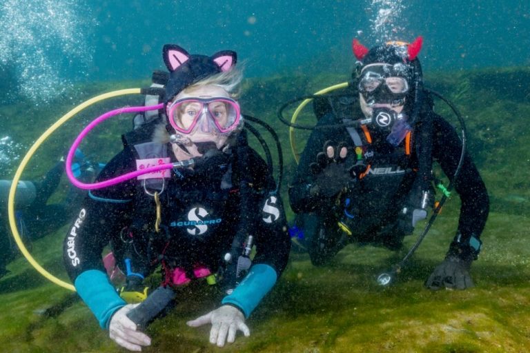 2 shipping containers, 2 acres + a lot of love create a cool Little River Canyon retreat for these Alabama adventurers 2 shipping containers, 2 acres + a lot of love create a cool Little River Canyon retreat for these Alabama adventurers