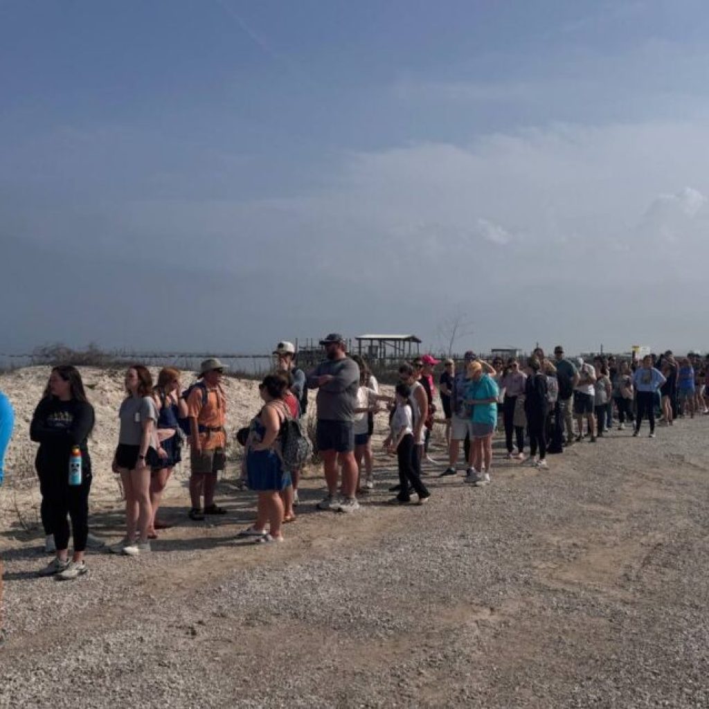 Fans line up for Survivor challenge at Dauphin Island Fans line up for Survivor challenge at Dauphin Island