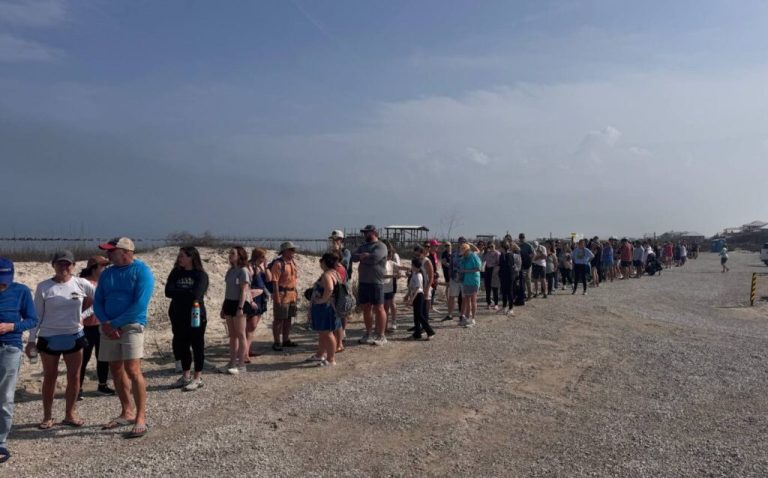 Fans line up for Survivor challenge at Dauphin Island Fans line up for Survivor challenge at Dauphin Island