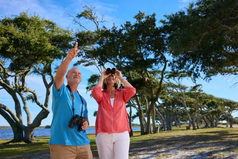 Winter wildlife adventures along Alabama’s Gulf Coast—all you need to know + how to go Winter wildlife adventures along Alabama’s Gulf Coast—all you need to know + how to go