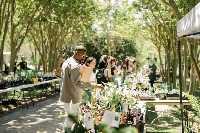 10 spring plant sales across Alabama + where to purchase native plants 10 spring plant sales across Alabama + where to purchase native plants