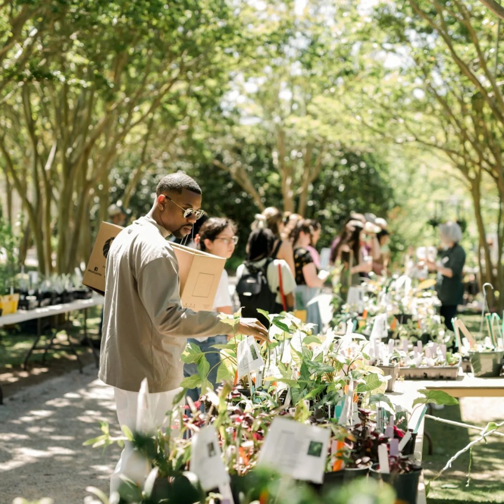 10 spring plant sales across Alabama + where to purchase native plants 10 spring plant sales across Alabama + where to purchase native plants
