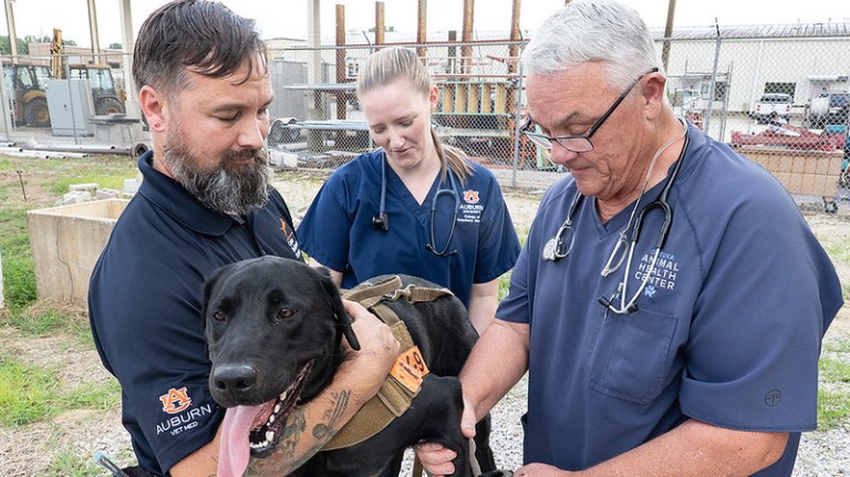 How Auburn’s new animal rescue team meets a critical need in disaster response How Auburn’s new animal rescue team meets a critical need in disaster response