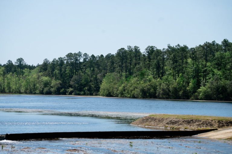 Late summer heatwave setting new records across Alabama Late summer heatwave setting new records across Alabama