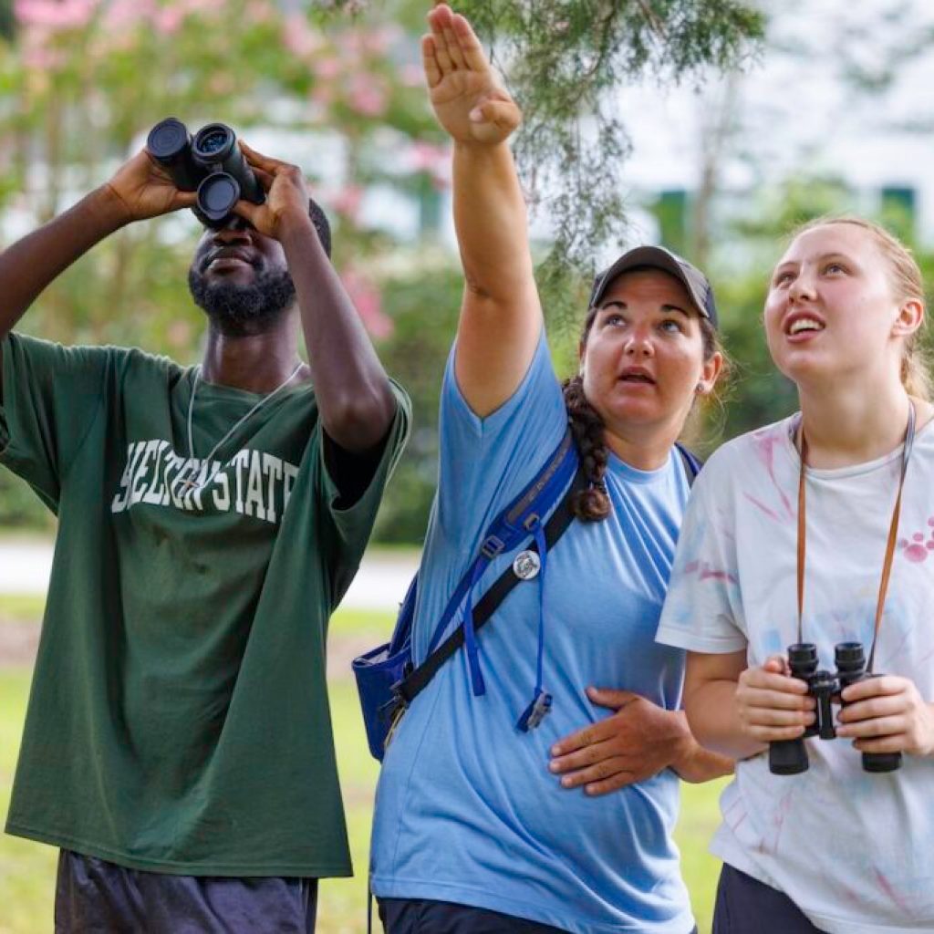 6 ways to experience this Alabama small town + why birders love it 6 ways to experience this Alabama small town + why birders love it