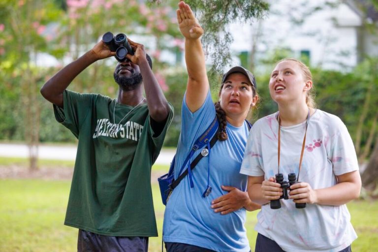 6 ways to experience this Alabama small town + why birders love it 6 ways to experience this Alabama small town + why birders love it