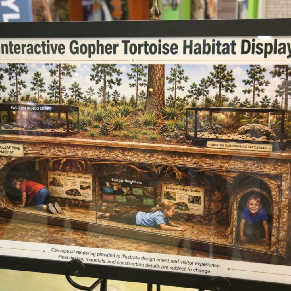 Alabama Nature Center to get new interactive gopher tortoise exhibit Alabama Nature Center to get new interactive gopher tortoise exhibit