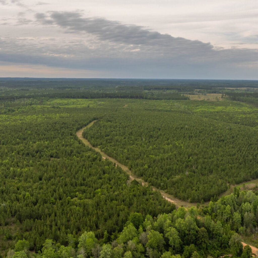 South Alabama Land Trust adds 298 acres for new nature preserve in Baldwin County South Alabama Land Trust adds 298 acres for new nature preserve in Baldwin County