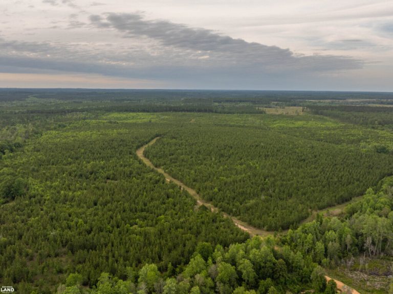 South Alabama Land Trust adds 298 acres for new nature preserve in Baldwin County South Alabama Land Trust adds 298 acres for new nature preserve in Baldwin County