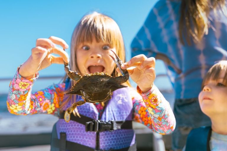 Summer seafood escape to Alabama’s Beaches—why you need one now Summer seafood escape to Alabama’s Beaches—why you need one now