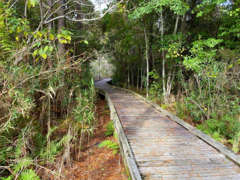 .2M granted for 6 outdoor recreation projects across Alabama .2M granted for 6 outdoor recreation projects across Alabama