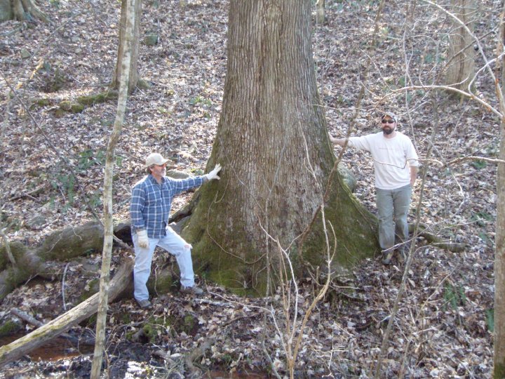 Doug Morrison appointed as Nature Preserve Manager + more exciting news for Big Canoe Creek Nature Preserve Doug Morrison appointed as Nature Preserve Manager + more exciting news for Big Canoe Creek Nature Preserve