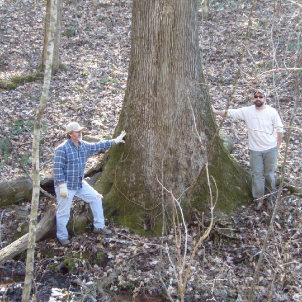 Doug Morrison appointed as Nature Preserve Manager + more exciting news for Big Canoe Creek Nature Preserve Doug Morrison appointed as Nature Preserve Manager + more exciting news for Big Canoe Creek Nature Preserve