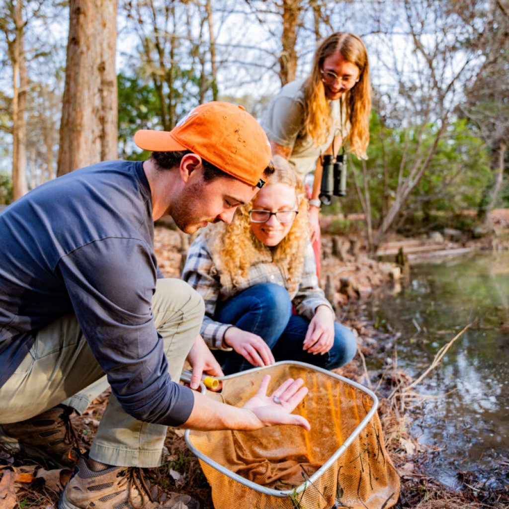 You can travel to Mexico, help the environment + more through this Auburn program You can travel to Mexico, help the environment + more through this Auburn program