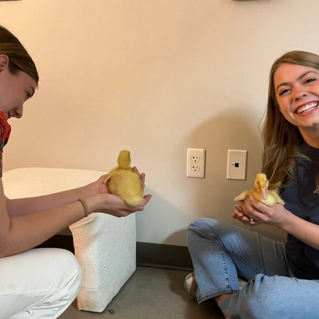 How this Auburn student landed her dream landscaping internship in Birmingham How this Auburn student landed her dream landscaping internship in Birmingham