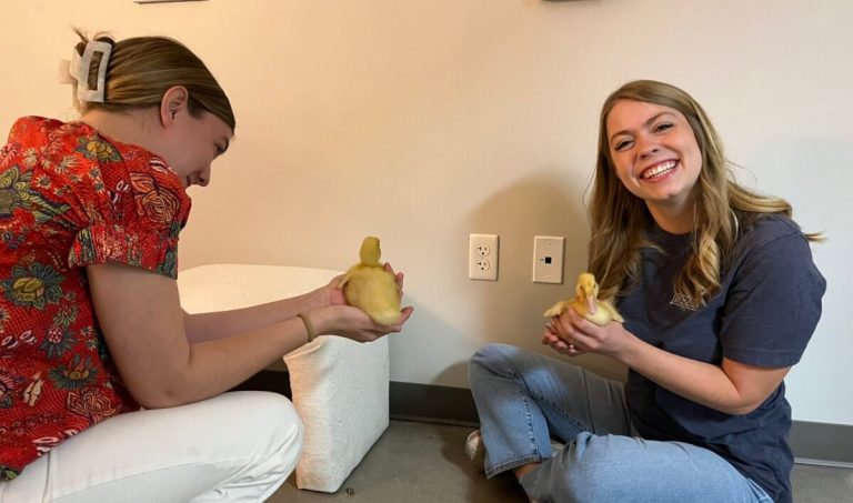 How this Auburn student landed her dream landscaping internship in Birmingham How this Auburn student landed her dream landscaping internship in Birmingham