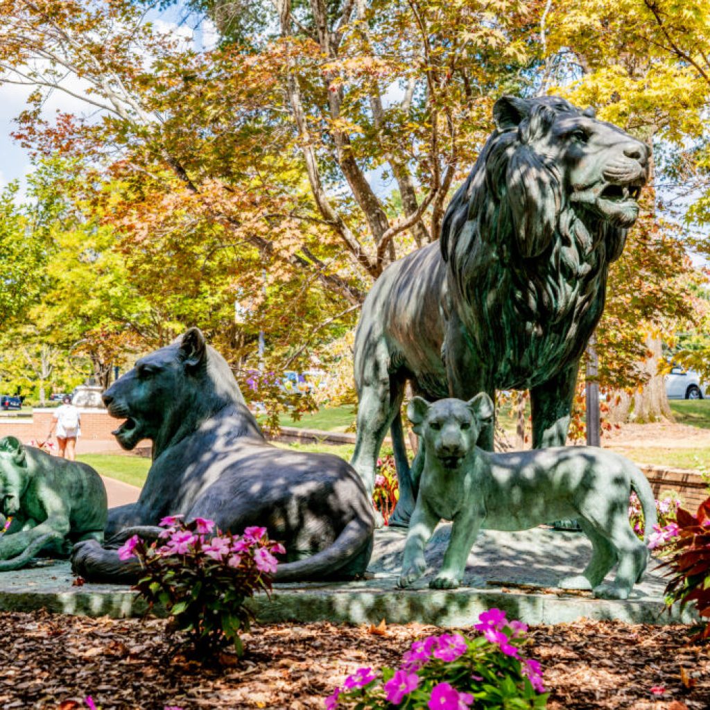 Una To Start Fall Semester With New Logo + New Branding Una To Start Fall Semester With New Logo + New Branding