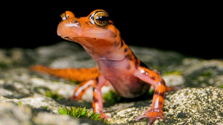 When + Where To Watch These Films About Alabama Nature Around The State When + Where To Watch These Films About Alabama Nature Around The State