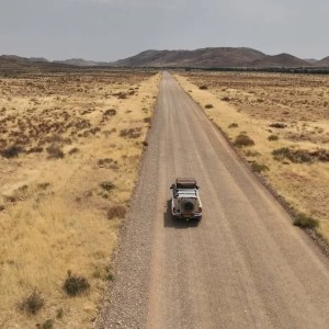 Surprising Predator Behavior Uncovered Near Roads in Etosha National Park Surprising Predator Behavior Uncovered Near Roads in Etosha National Park