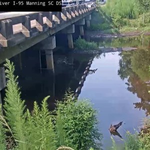 SC River’s Toxic Forever Chemicals Demand Urgent Cleanup Action SC River’s Toxic Forever Chemicals Demand Urgent Cleanup Action