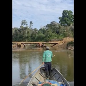 Uncontacted Amazon Tribe Threatened by Logging Bridge in Peru Uncontacted Amazon Tribe Threatened by Logging Bridge in Peru