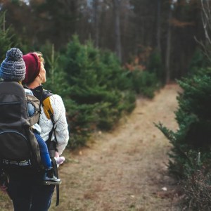 Experience Autumn Magic: Hiking, Harvest Dinner & Global Rhythms at Kettle Moraine Experience Autumn Magic: Hiking, Harvest Dinner & Global Rhythms at Kettle Moraine