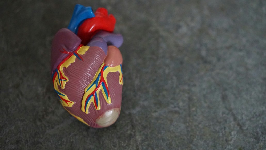 Tips for Preventing heart problems Tips for Preventing heart problems