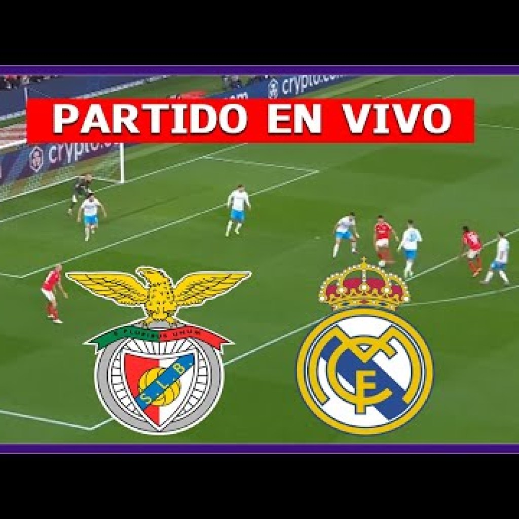 Cómo ver ESPN 2 EN VIVO y EN DIRECTO: Real Madrid-Benfica por UEFA Champions League Cómo ver ESPN 2 EN VIVO y EN DIRECTO: Real Madrid-Benfica por UEFA Champions League