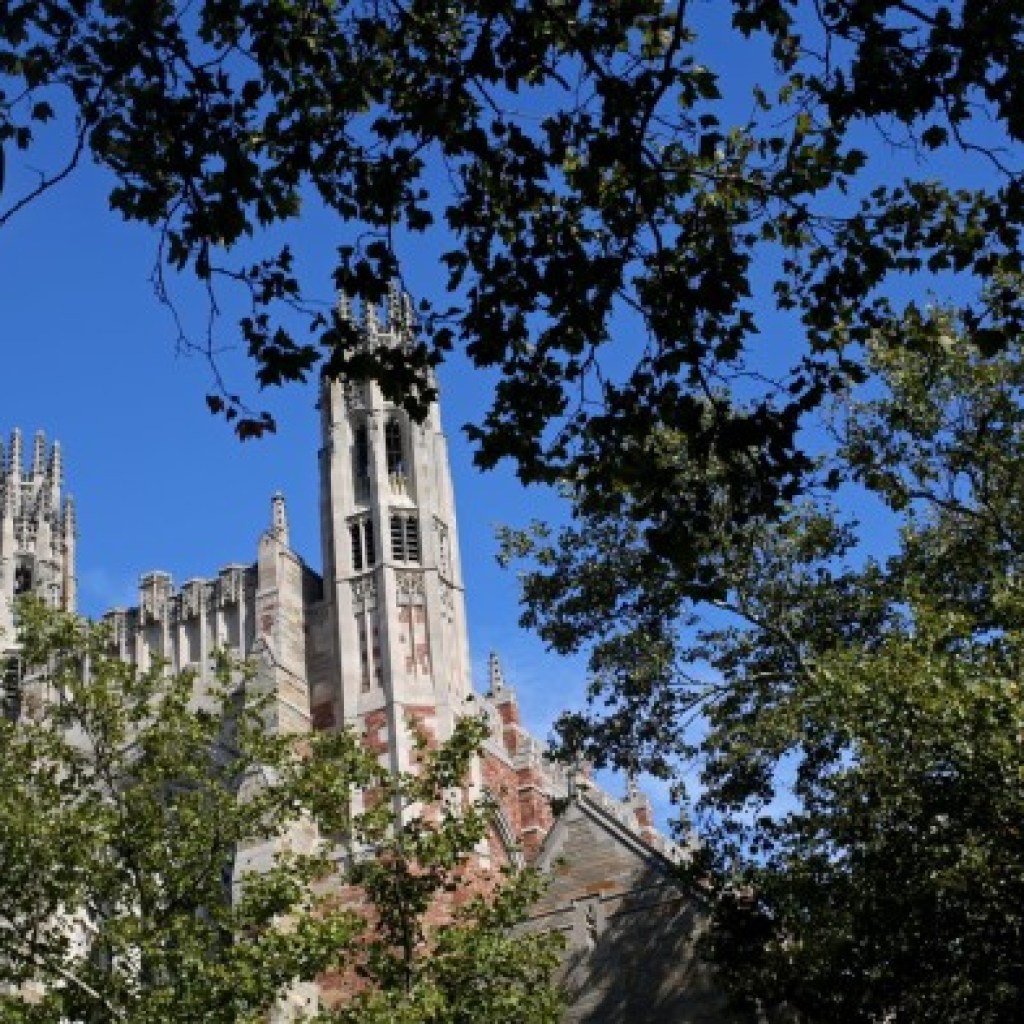 White House reverses course on foreign student visa terminations White House reverses course on foreign student visa terminations