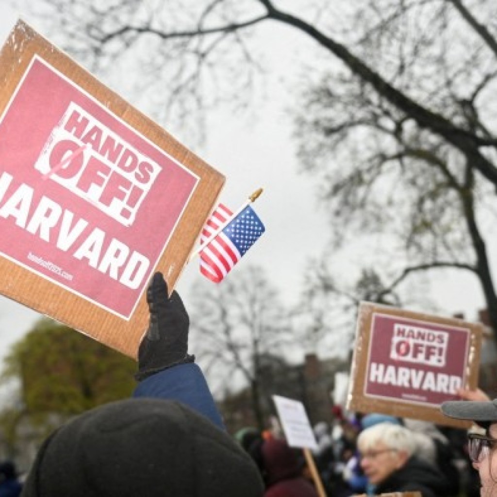 Harvard sues Trump administration over funding freeze Harvard sues Trump administration over funding freeze