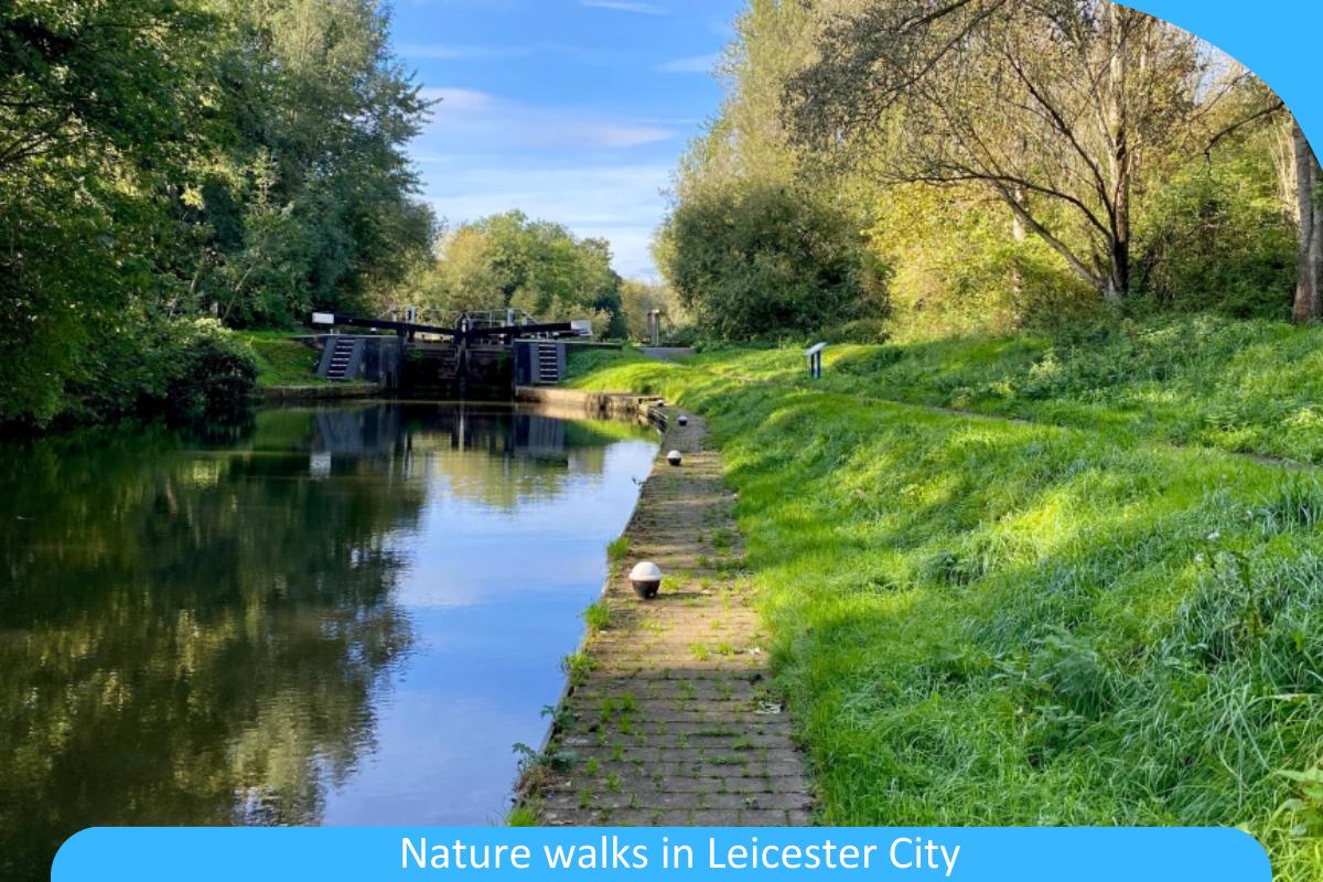 Nature Walks in Leicester City: Connect with Nature on These Scenic Walks Nature Walks in Leicester City: Connect with Nature on These Scenic Walks