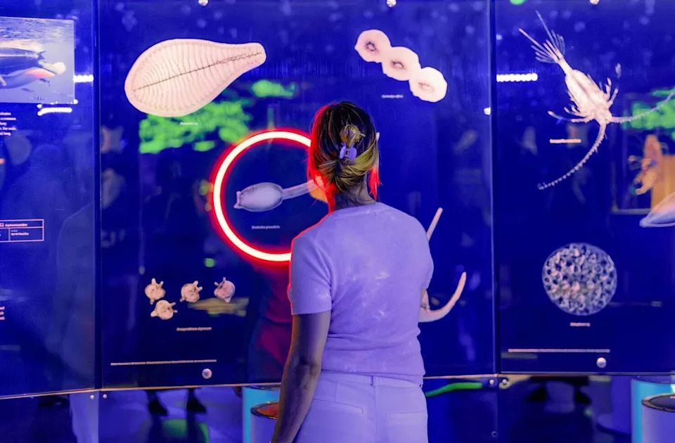 San Francisco’s California Academy of Sciences cuts jobs as financial strain deepens San Francisco’s California Academy of Sciences cuts jobs as financial strain deepens