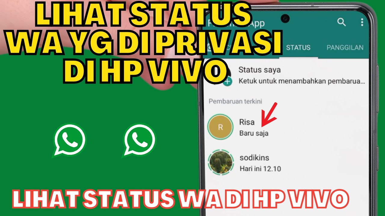 Kenapa Story WhatsApp Tak Muncul Padahal Tidak Diprivasi? Kenapa Story WhatsApp Tak Muncul Padahal Tidak Diprivasi?