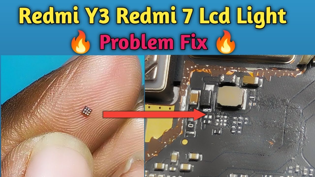 Fotografi Redmi 7: Ungkap Potensi Kamera Belakangnya Fotografi Redmi 7: Ungkap Potensi Kamera Belakangnya