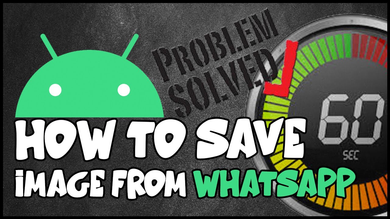 Cara Menyimpan Video WhatsApp ke Galeri: Panduan Langkah demi Langkah Cara Menyimpan Video WhatsApp ke Galeri: Panduan Langkah demi Langkah