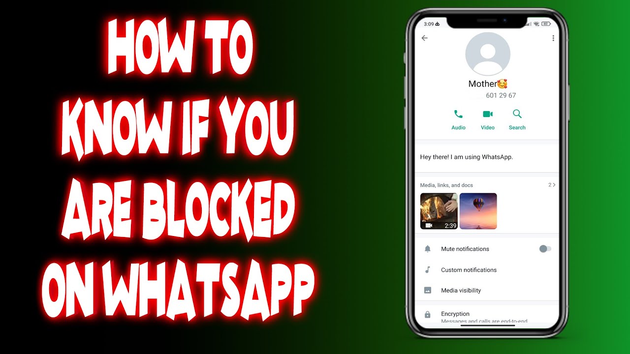 Cara Tahu Kamu Diblokir di WhatsApp: Tanda dan Cara Mengatasinya Cara Tahu Kamu Diblokir di WhatsApp: Tanda dan Cara Mengatasinya