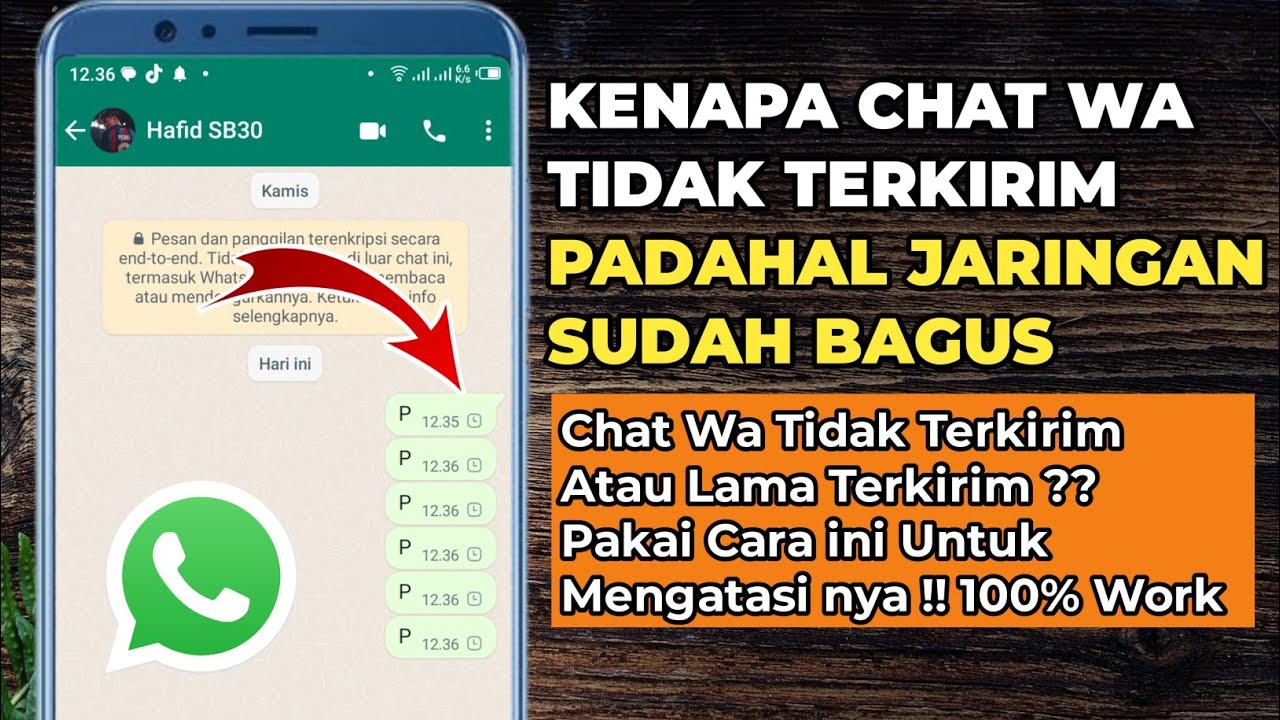 Penyebab Hilangnya Chat WhatsApp yang Tak Terduga Penyebab Hilangnya Chat WhatsApp yang Tak Terduga
