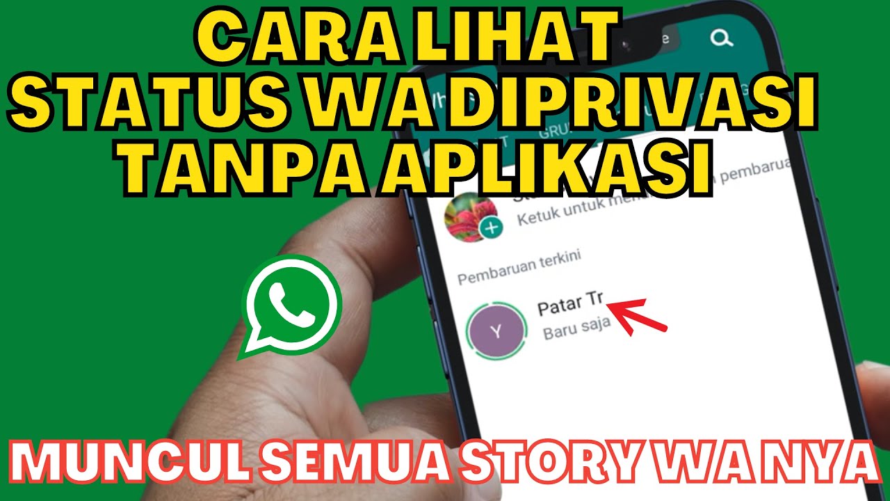 Kenapa Status WA Tidak Muncul Padahal Tidak Diprivasi? Kenapa Status WA Tidak Muncul Padahal Tidak Diprivasi?
