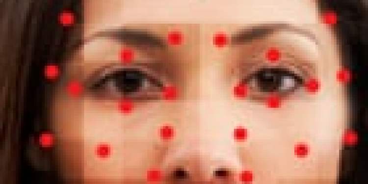 „Ar tu juokauji, plėši automobilį?“: veido atpažinimo problema policijoje „Ar tu juokauji, plėši automobilį?“: veido atpažinimo problema policijoje