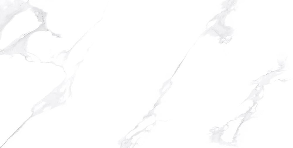 Marmo Calacatta White Satin Matt 60×120 Marmo Calacatta White Satin Matt 60×120