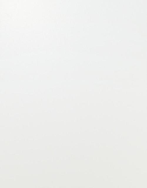 Solid White Matt 40×80 Solid White Matt 40×80