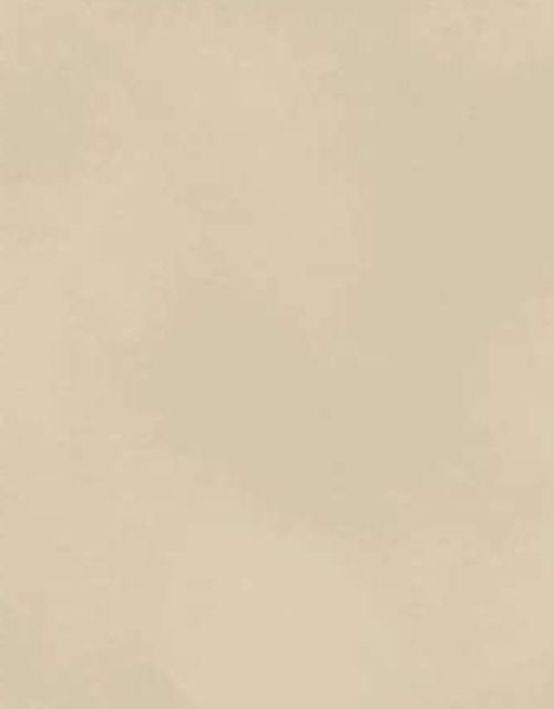 Настенная плитка Boost Color Cream 50×120 Italy матовая керамическая Настенная плитка Boost Color Cream 50×120 Italy матовая керамическая