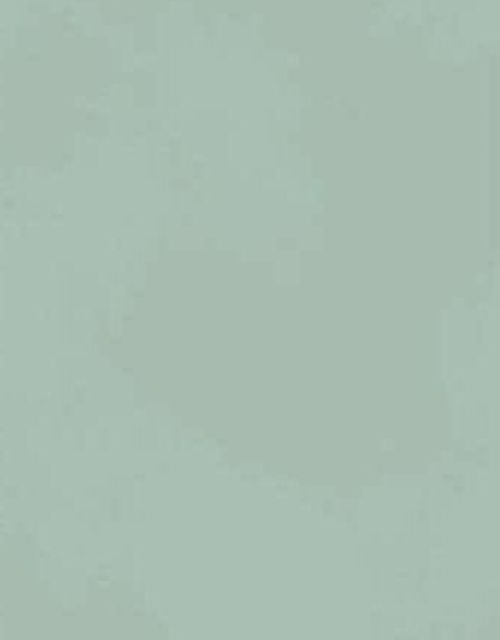 Настенная плитка Boost Color Jade 50×120 Italy матовая керамическая Настенная плитка Boost Color Jade 50×120 Italy матовая керамическая