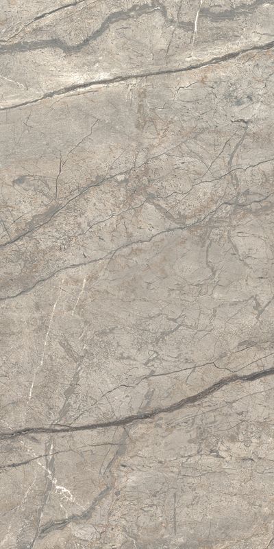 Anima Futura Amazing Silver Luc 60×120 Anima Futura Amazing Silver Luc 60×120